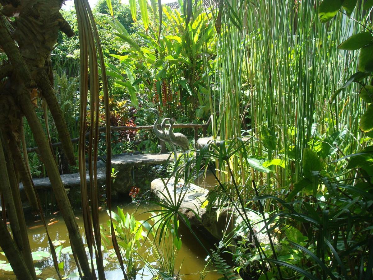 Villa Arjuna Seraya Dış mekan fotoğraf